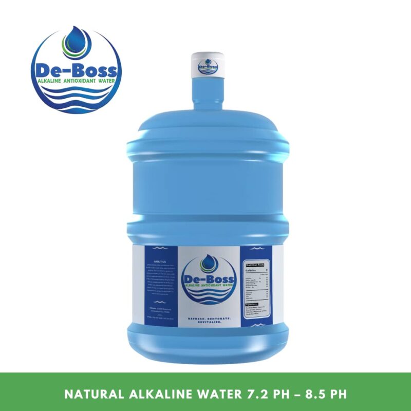 NATURAL ALKALINE WATER 7.2 PH – 8.5 PH - Image 2